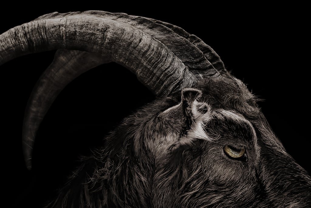 Is the Horror Movie The Witch Based on a True Story?