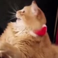 Christmas in 4 Days Has Got Us Feelin' Like . . .