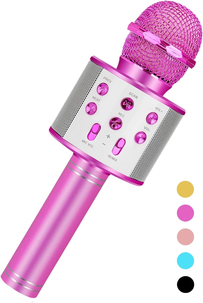 Best Karaoke Toy
