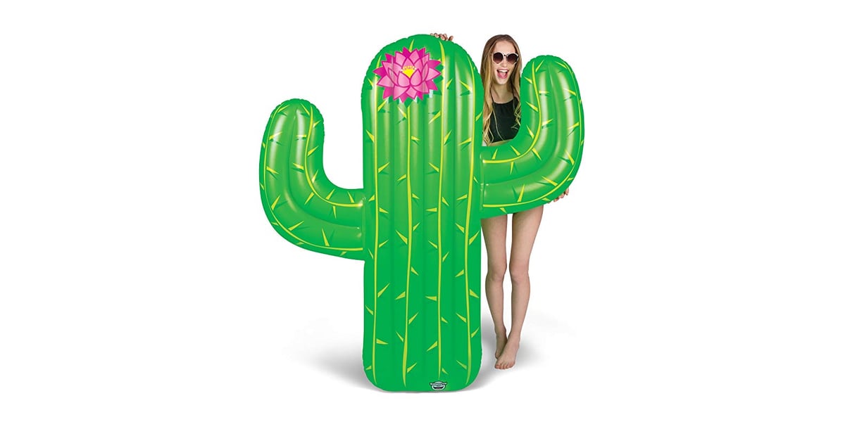 cactus pool float