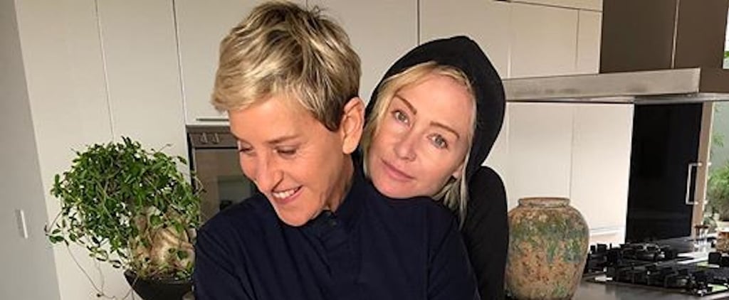 可爱的Portia de Rossi和Ellen DeGeneres Pictures