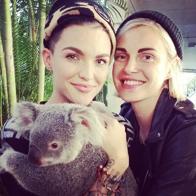 When They Cuddled With a Koala