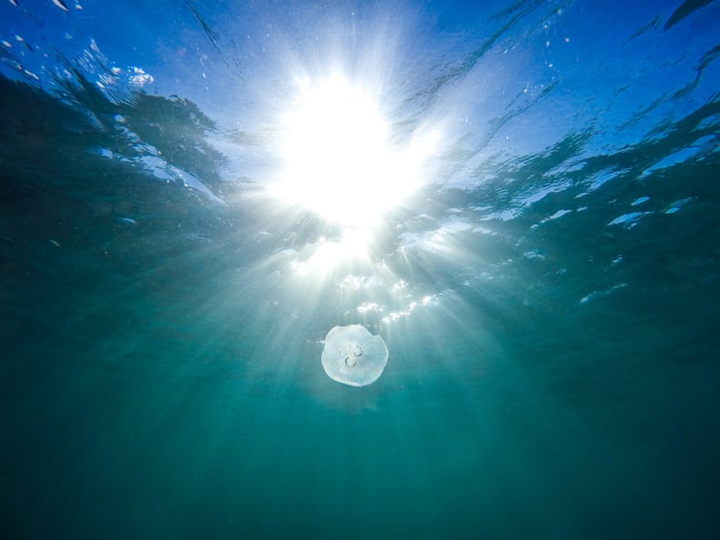 The Atlantic ocean is growing larger and the Pacific is becoming smaller.