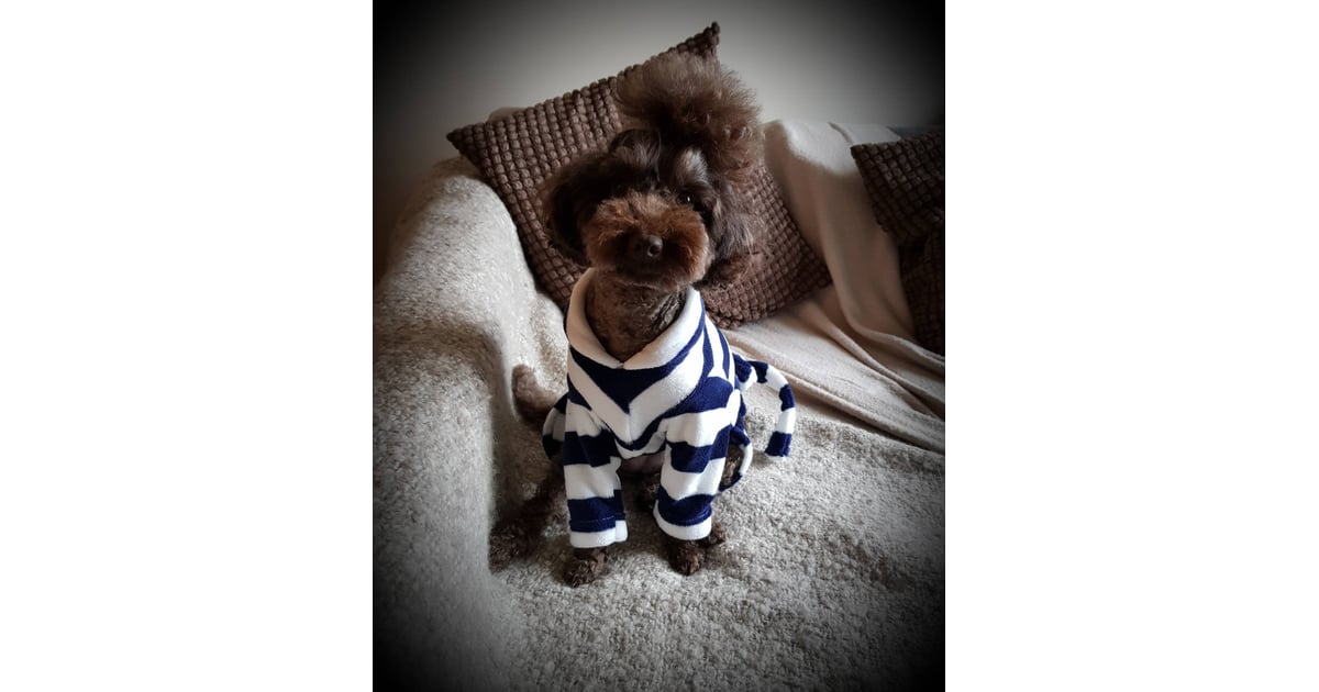 Matching Robes For Dogs and Humans on Etsy POPSUGAR UK Pets Photo 3