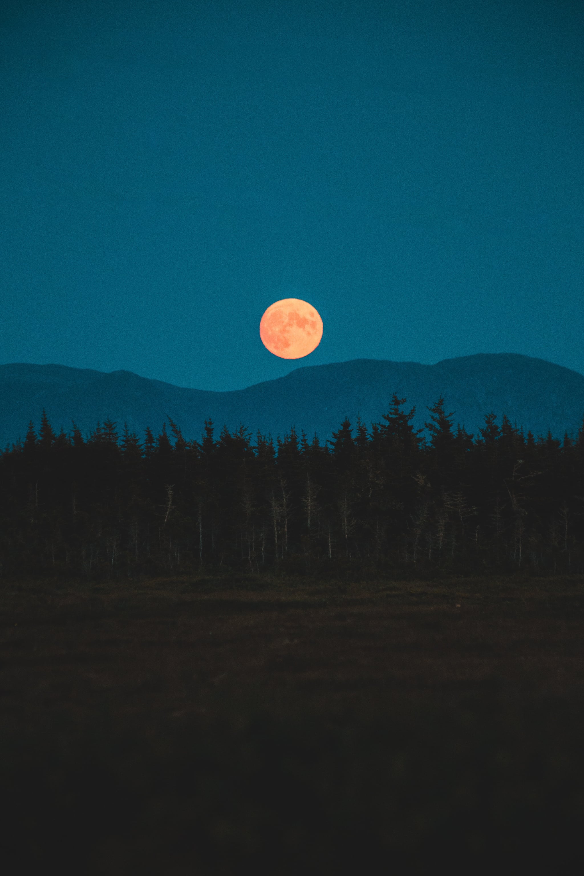 Sturgeon Moon August 2022 Spiritual Meaning POPSUGAR Smart Living