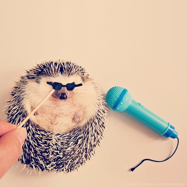 Sing in the shower or sing during karaoke — just belt it out.