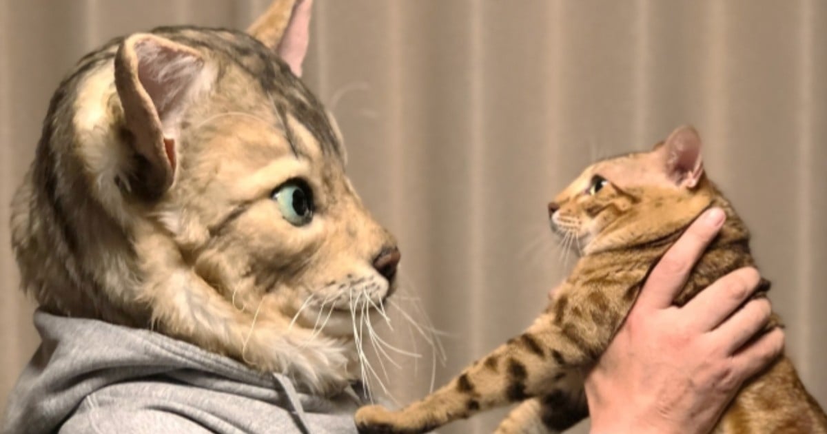 cat head slippers