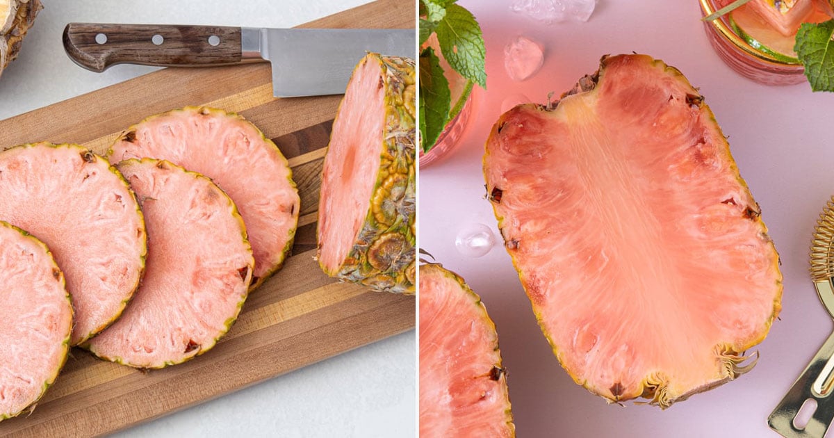 Where to Buy Pink Pineapple POPSUGAR Food