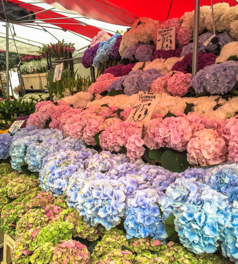 Take in the intoxicating aromas at the Columbia Road Flower Market.