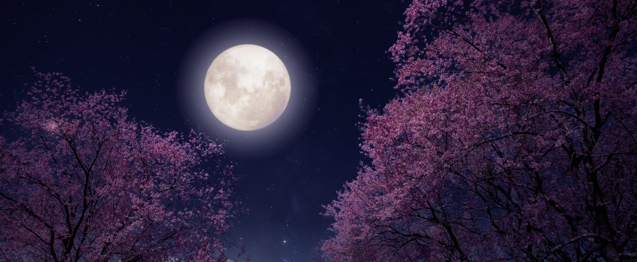 Flower Moon Spiritual Meaning 2024