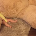 This Grandpa Gave His Granddaughter a Ridiculously Huge Teddy Bear and the Internet Cannot Handle It