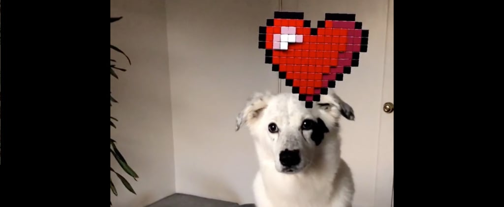 How Do I Use Facebook Messenger World Effects 3D Objects?