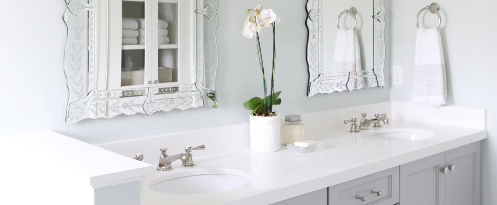 Best Plants For Bathrooms
