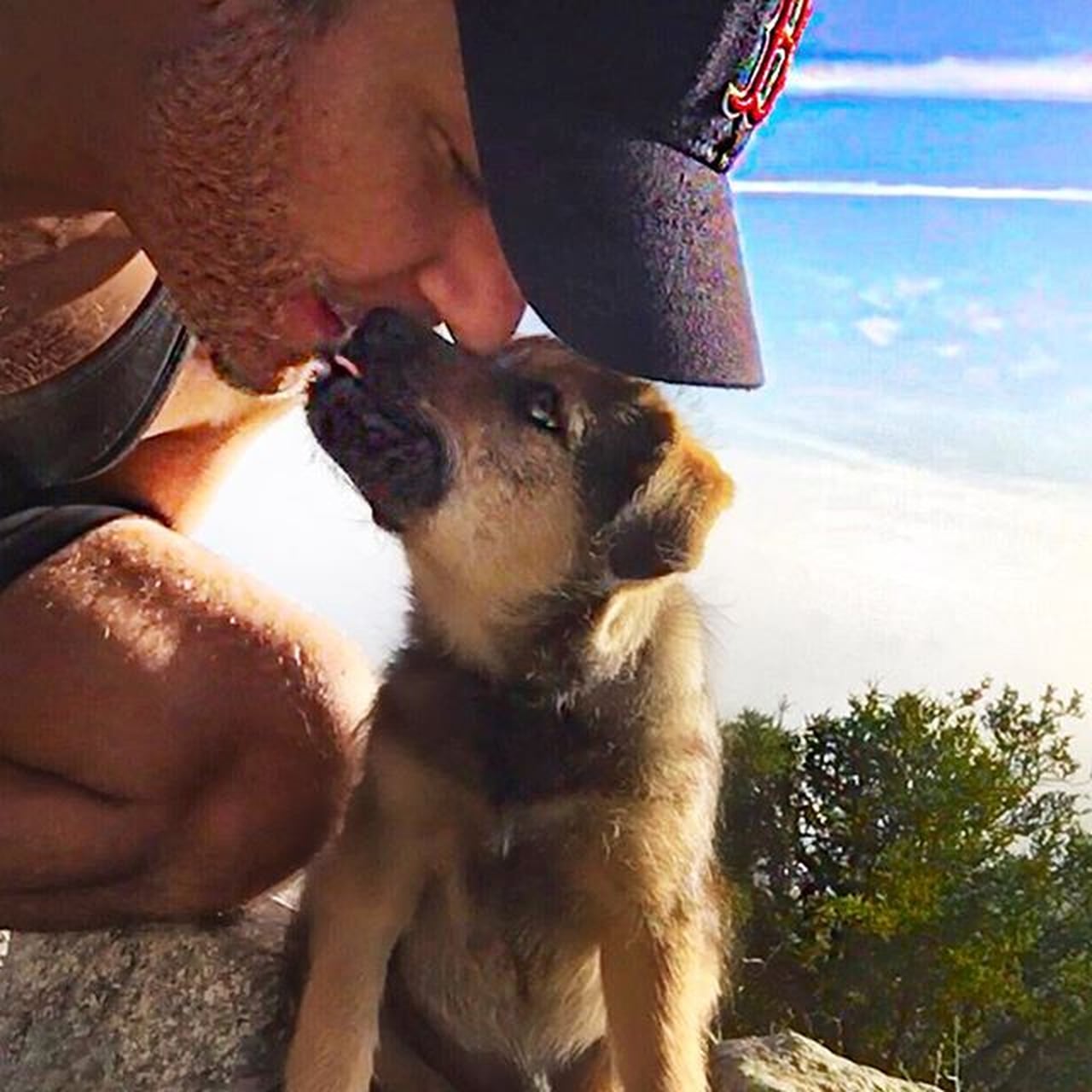 Dane Cook's Dog, Chopper | PS Pets