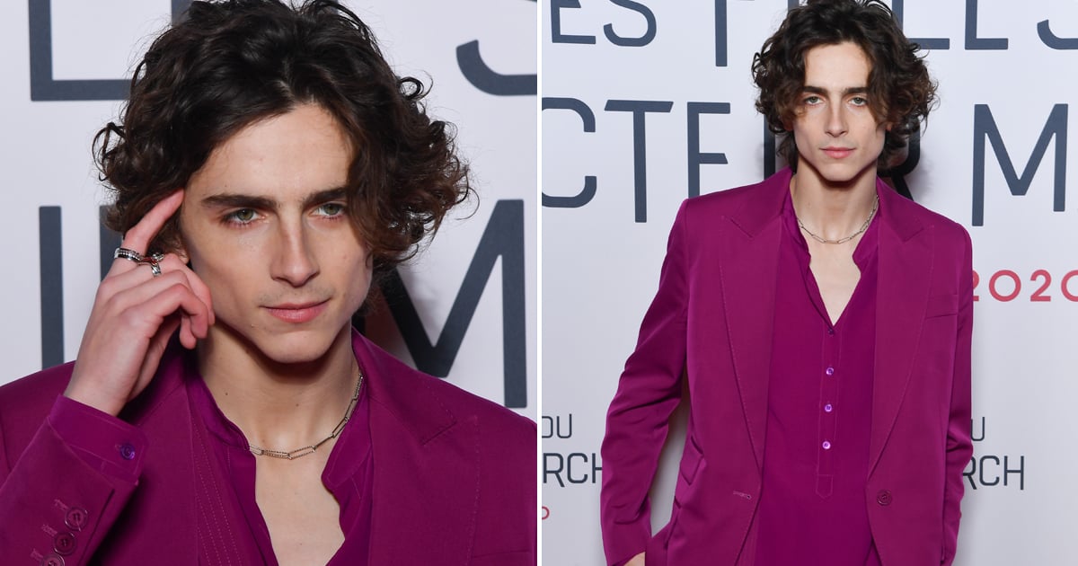 Timothée Chalamet Wears All-Pink Suit to 'Little Women' Premiere