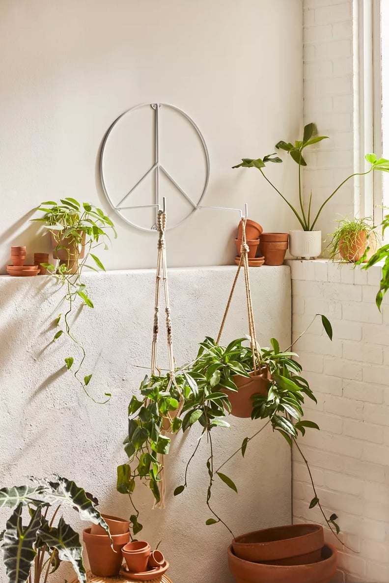 植物吊架:Urban Outfitters和平植物钩