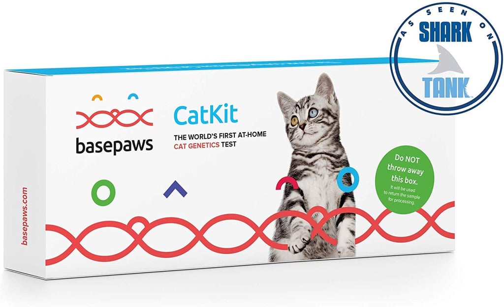 Basepaws Cat DNA Test