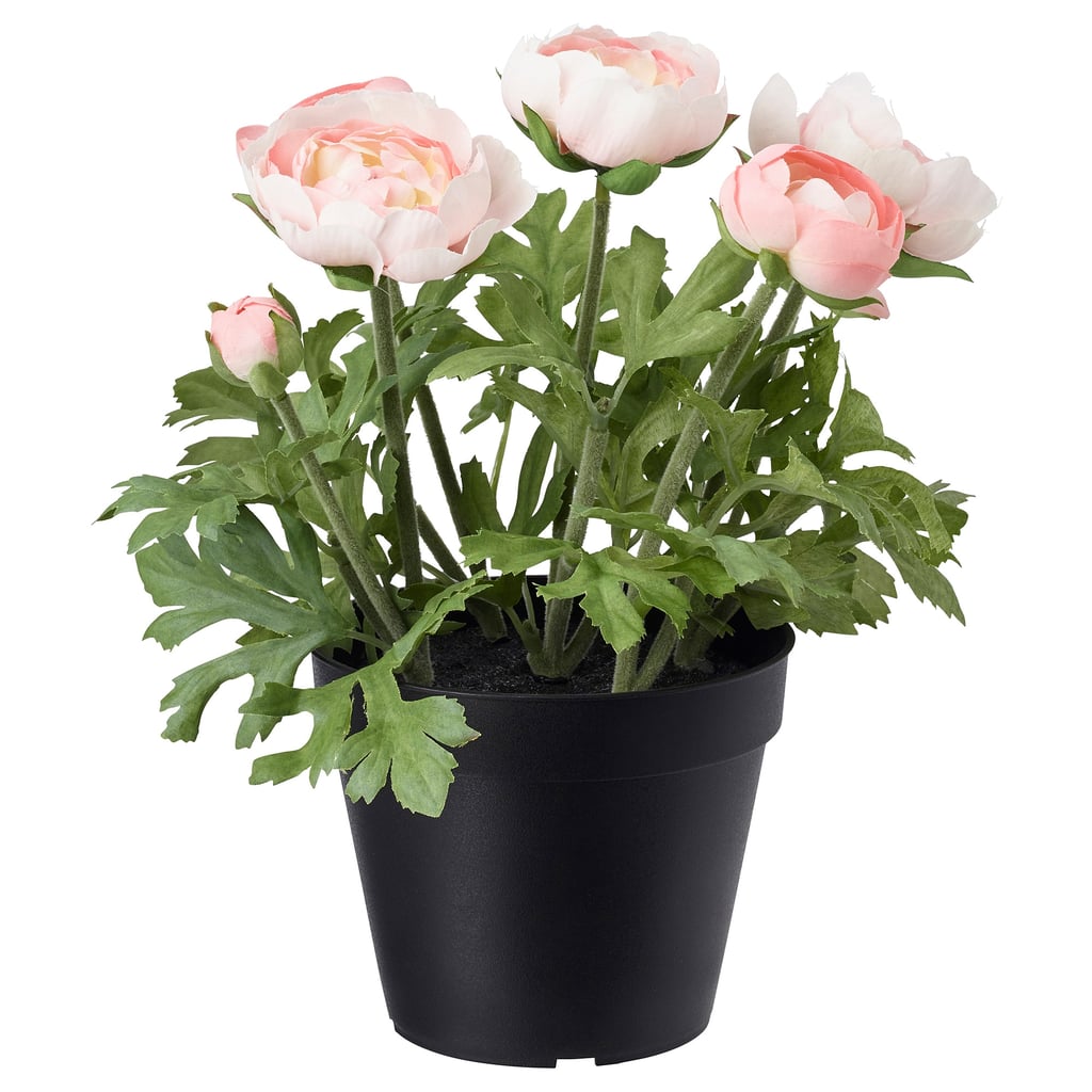 Fejka Artificial Potted Plant Ikea Plants and Pots 2019 POPSUGAR