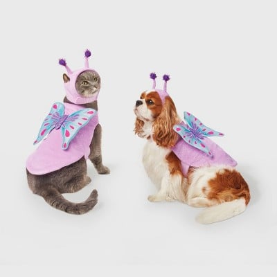 Dog and cat matching halloween costumes outlet