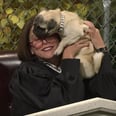 Cecily Strong Really Tried Her Best to Control This Excited Pup During an SNL Sketch