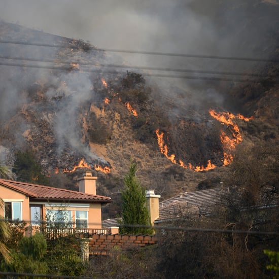 Glendora Forest Fires in California Burn 1,700 Acres