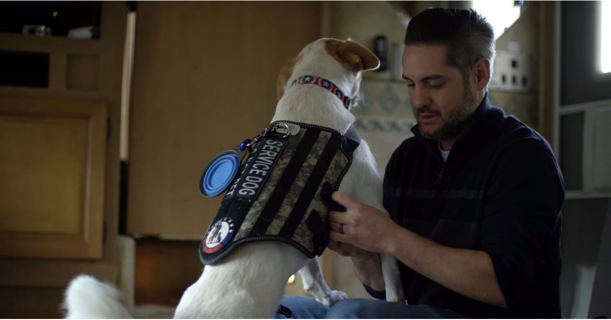 How Service Dogs Can Help Soldiers With PTSD (Video) | POPSUGAR Pets