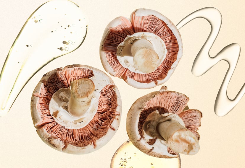 mushrooms in skincare, skincare benefits of mushrooms