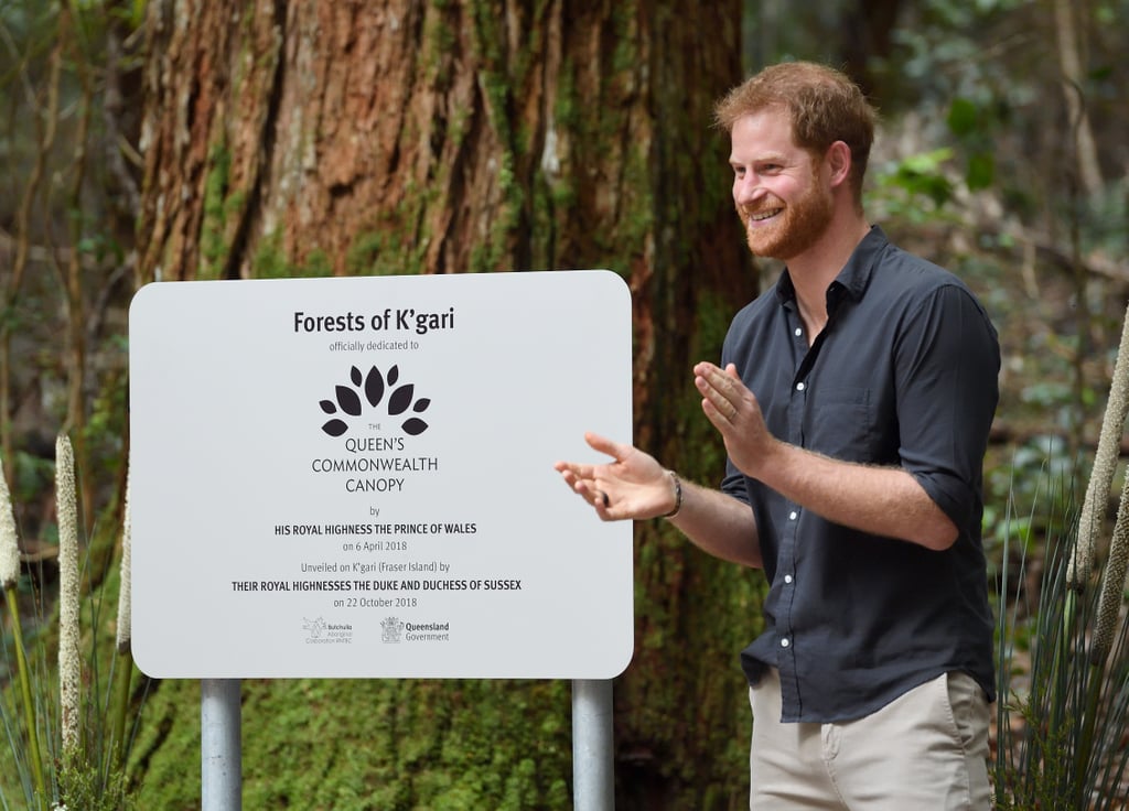 Prince Harry Responding to Woman's Compliment in Australia