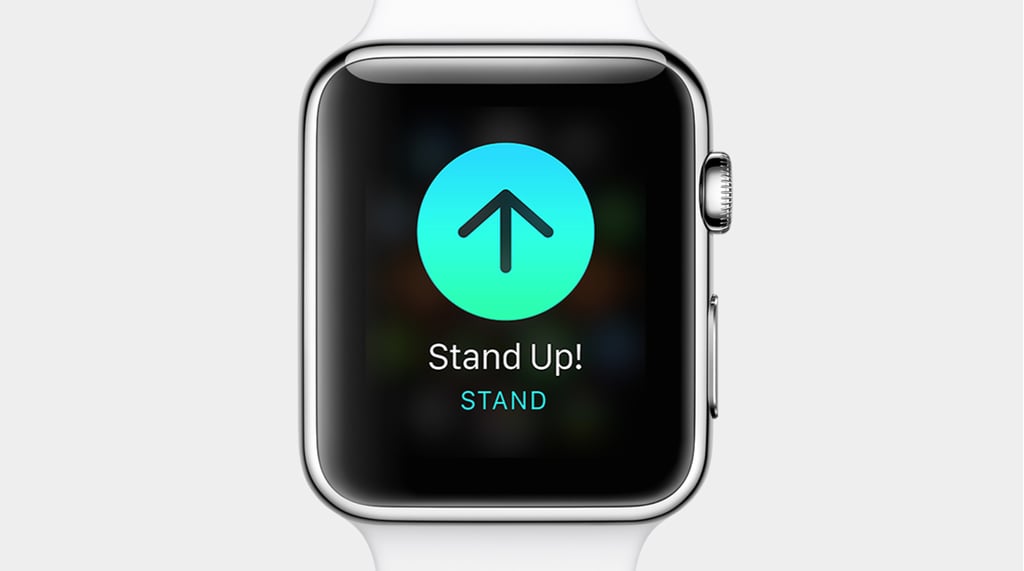 What Can the Apple Watch Do?