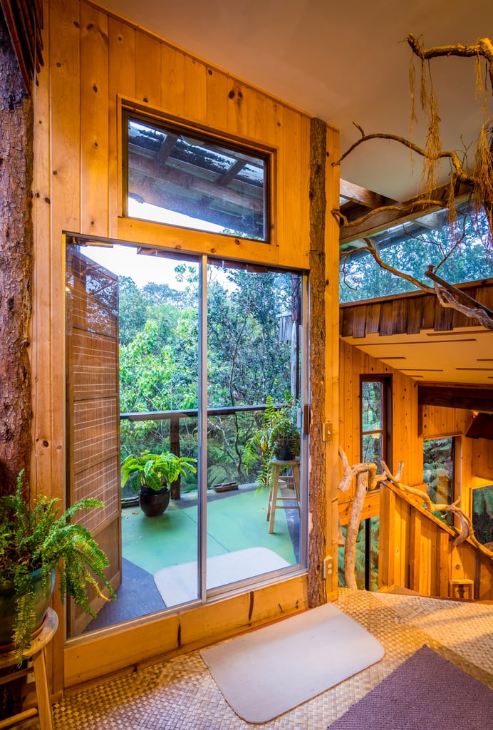 Volcano Tree House Rental in Hawaii