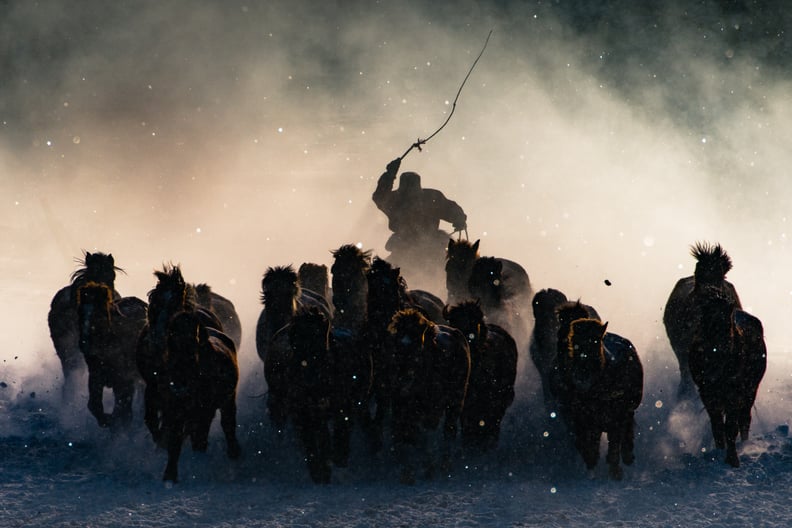 Grand Prize — Winter Horseman