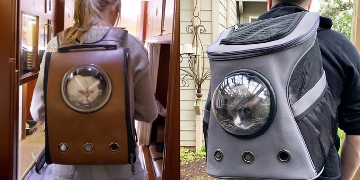 Taylor Swift's Cat Backpack Review With Pictures