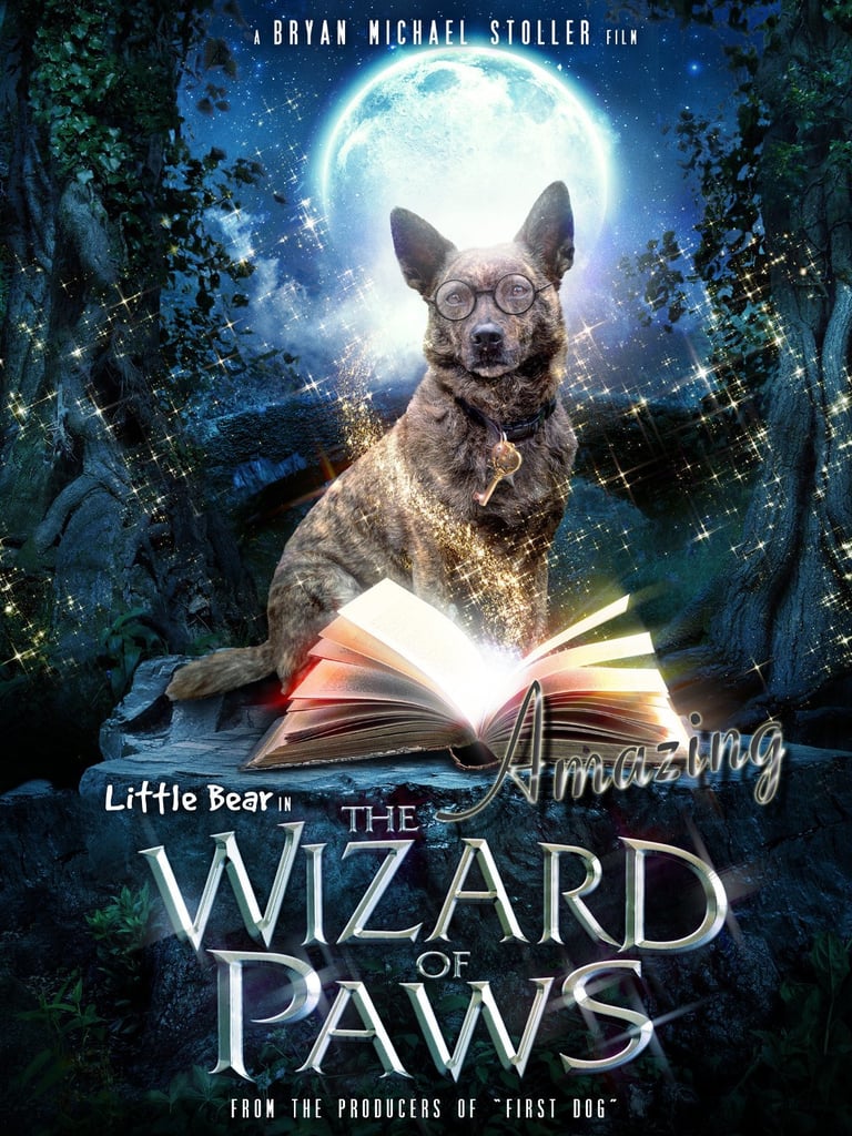 The Amazing Wizard of Paws