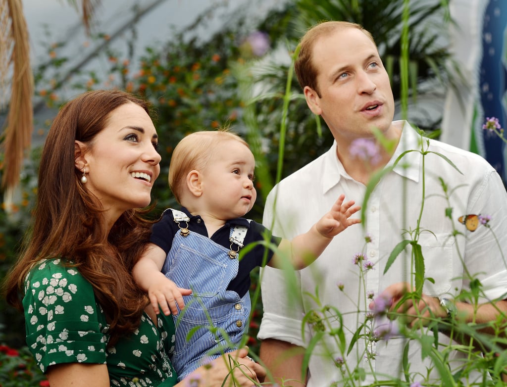 The royal family shared an official portrait ahead of Prince George's first birthday on July 22.