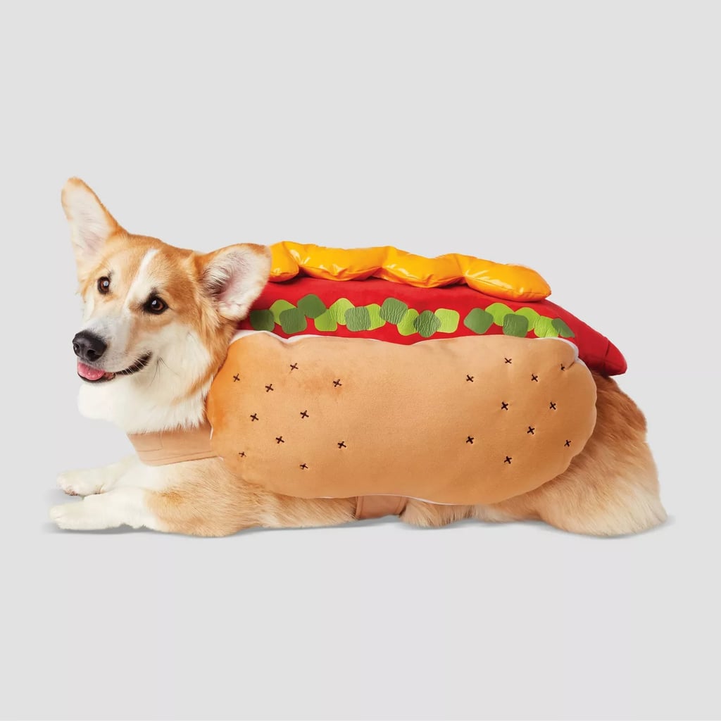 Hot Dog Dog and Cat Costume