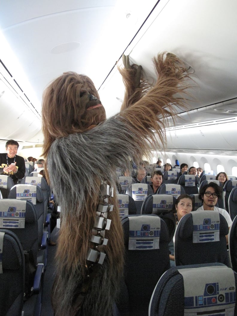 And Chewbacca was somehow able to fit inside the plane.