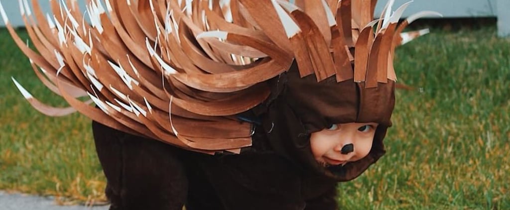 DIY Toddler Porcupine Costume For Less Than $5