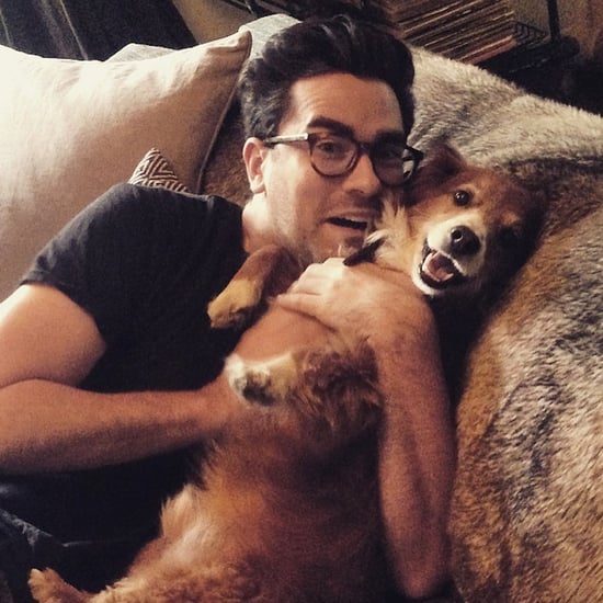See Pictures of Dan Levy and His Rescue Dog, Redmond