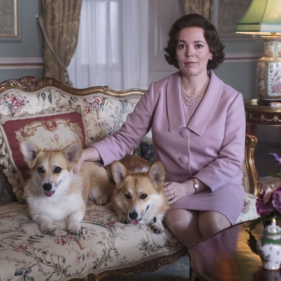 What TV Shows Have Been Canceled or Renewed in 2020?