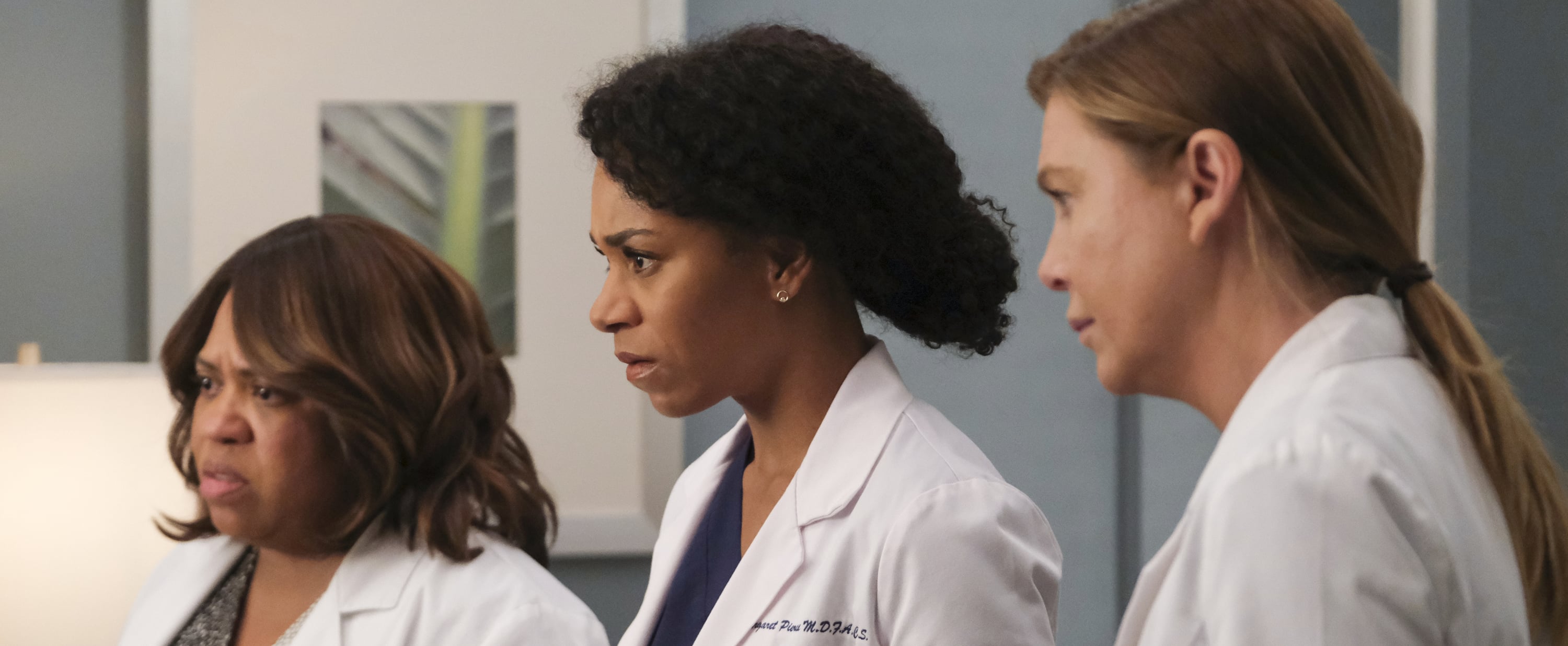 What Happened on the Grey's Anatomy Season 16 Finale? PS Entertainment