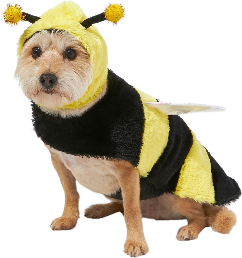 Frisco Bumble Bee Dog & Cat Costume