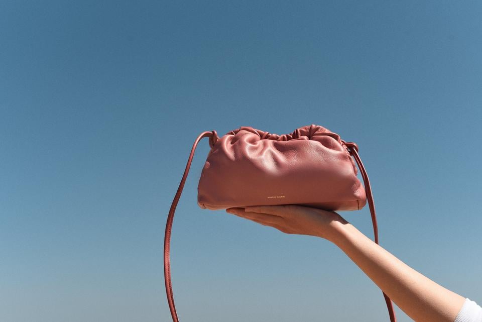 Mansur Gavriel Mini Cloud Clutch