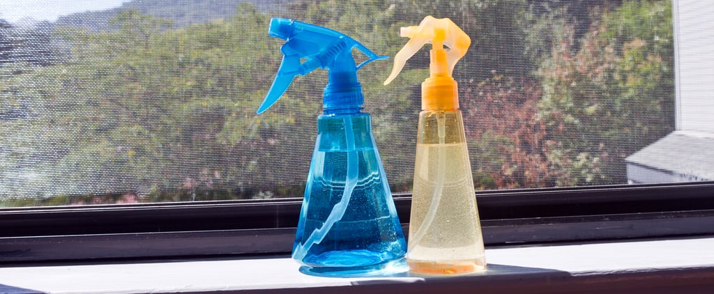 DIY Window Screen Cleaner