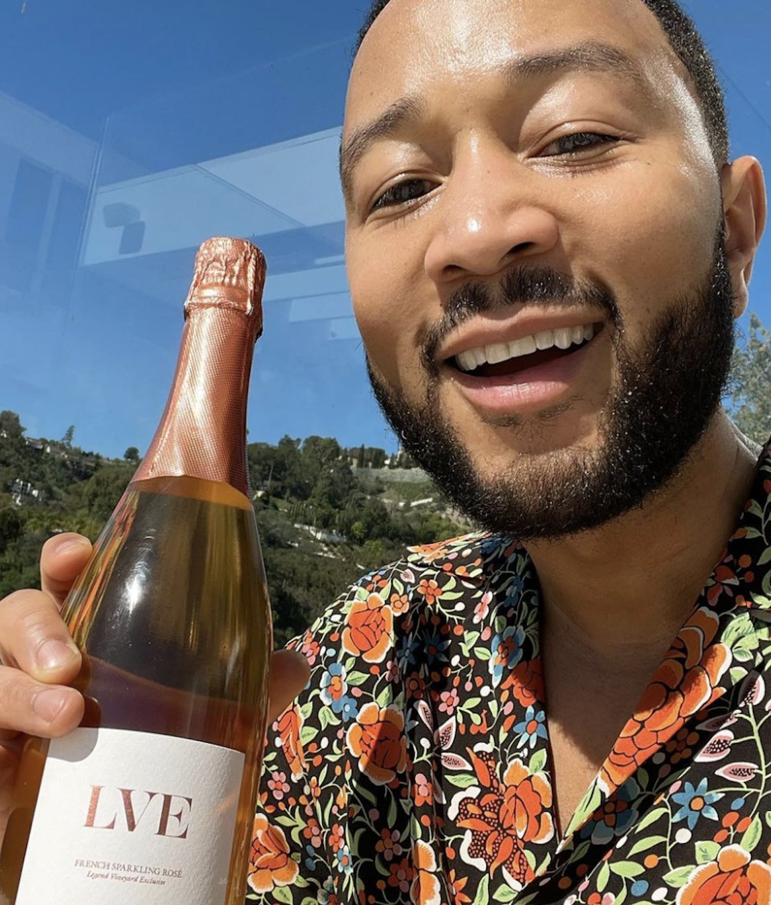 Lve wine outlet