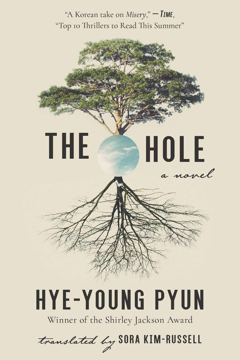 The Hole by Hye-Young Pyun