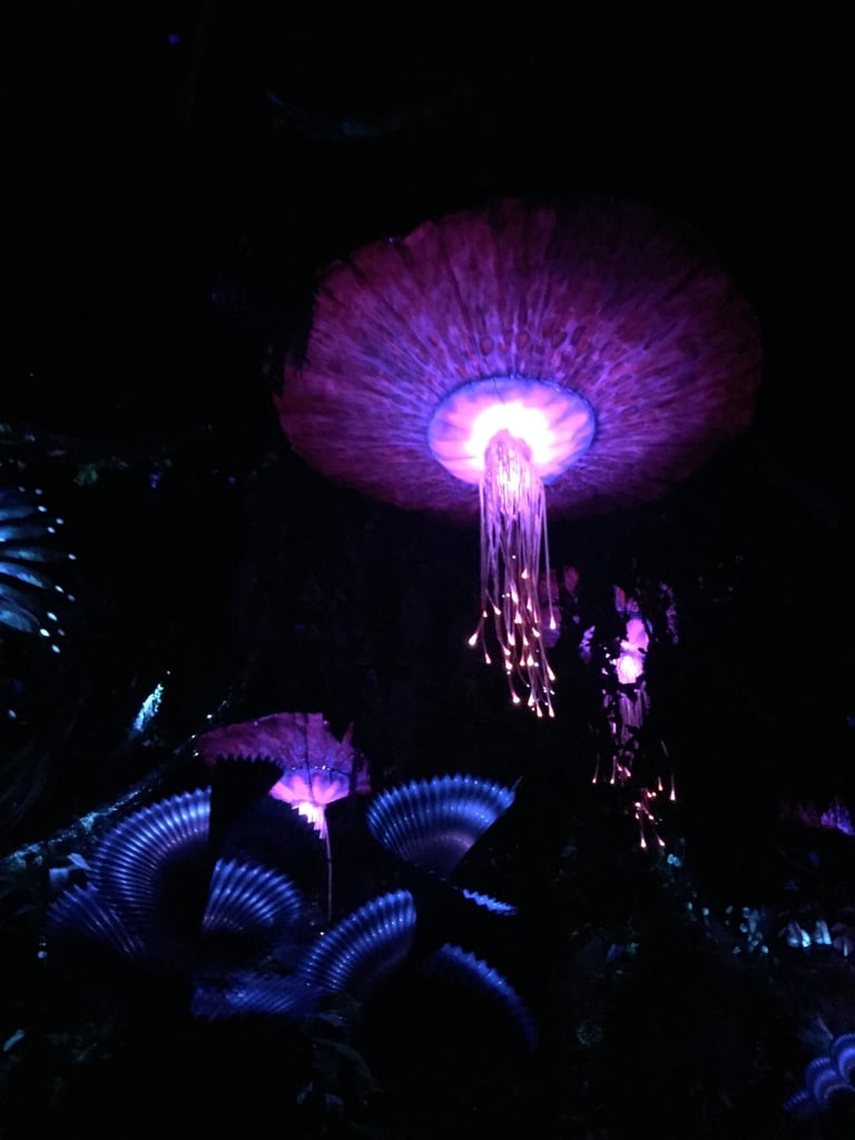 Which Pandora World of Avatar Ride Is For Kids?
