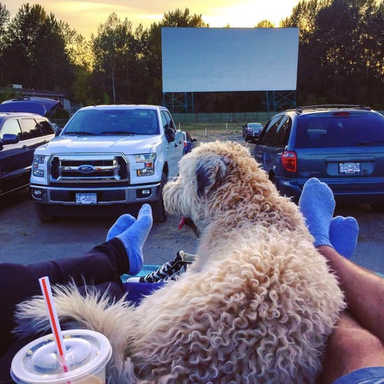 Charming Photos of Drive-In Movie Theaters