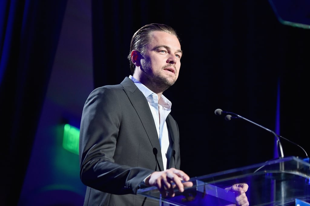 Pictured: Leonardo DiCaprio