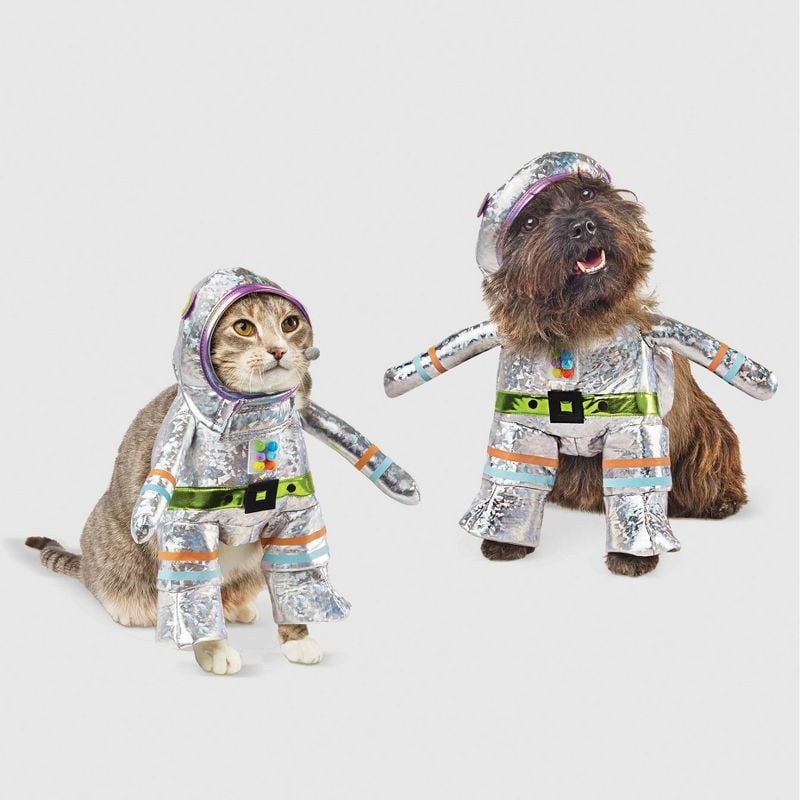 未来:海德&唷!小型机器人万圣节狗和猫服装