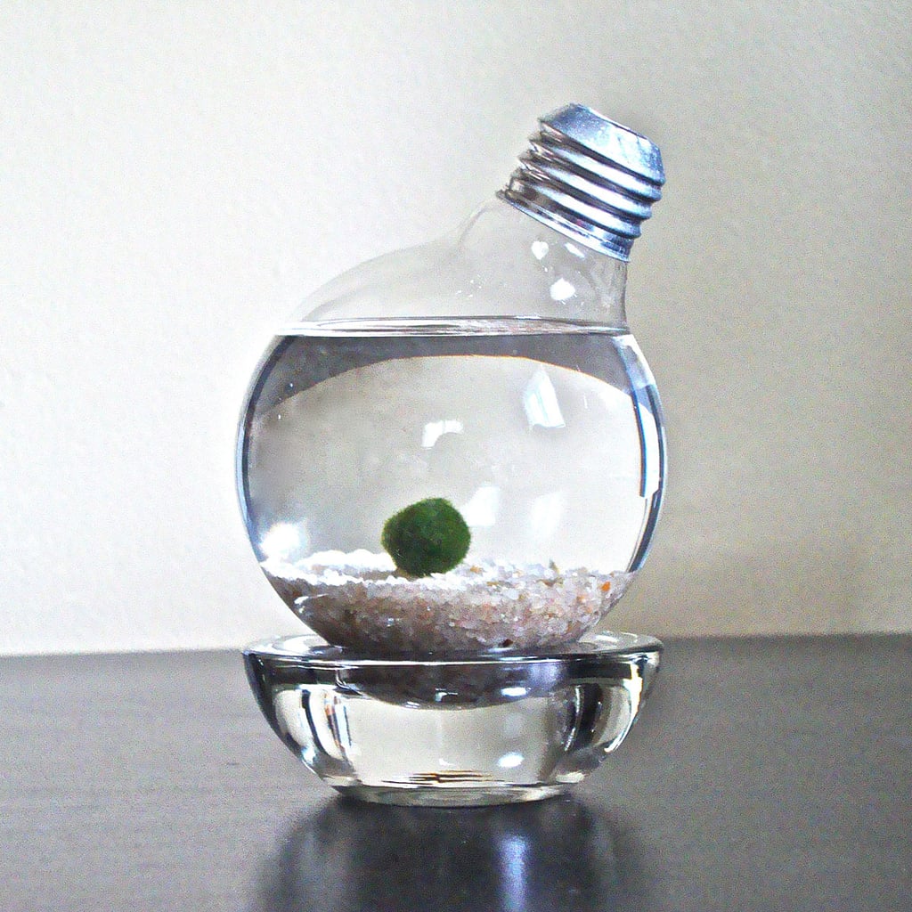 Good Luck Desk Charm StressRelief Items POPSUGAR Smart Living Photo 9